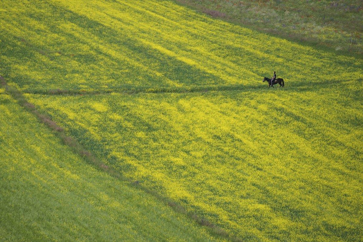 Kars'ta bitki çeşitliliği görsel şölen sunuyor