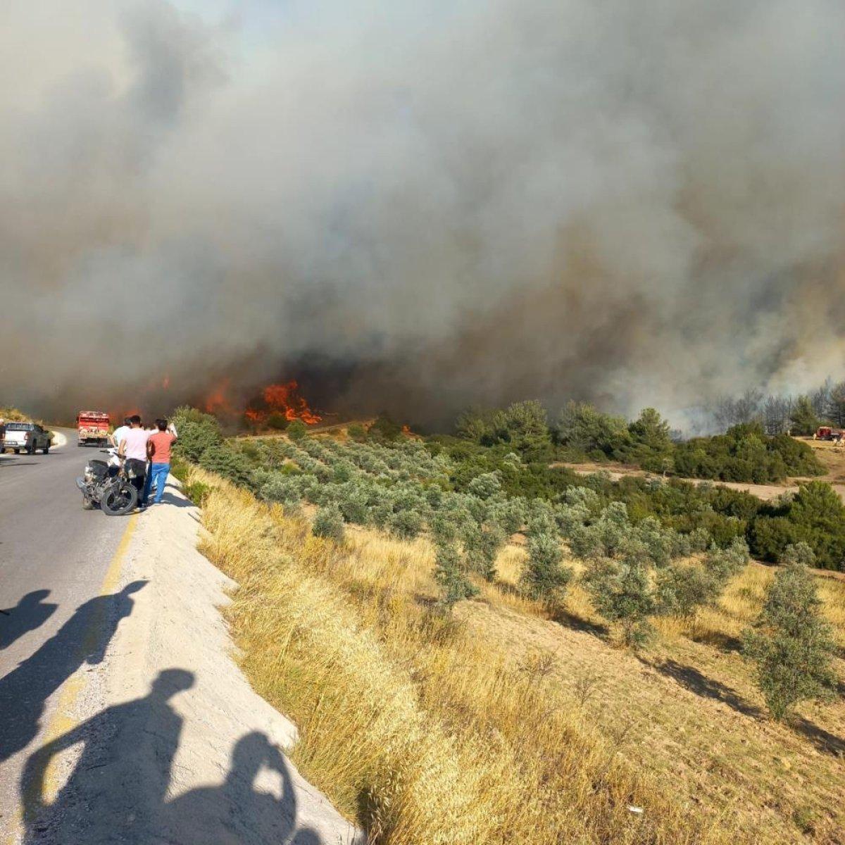 Manisa'da orman yangını: 20 ev boşaltıldı