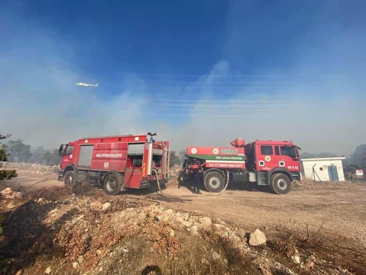 Milas’ta yangın kontrol altına alınırken 4 hektarlık alan kül oldu