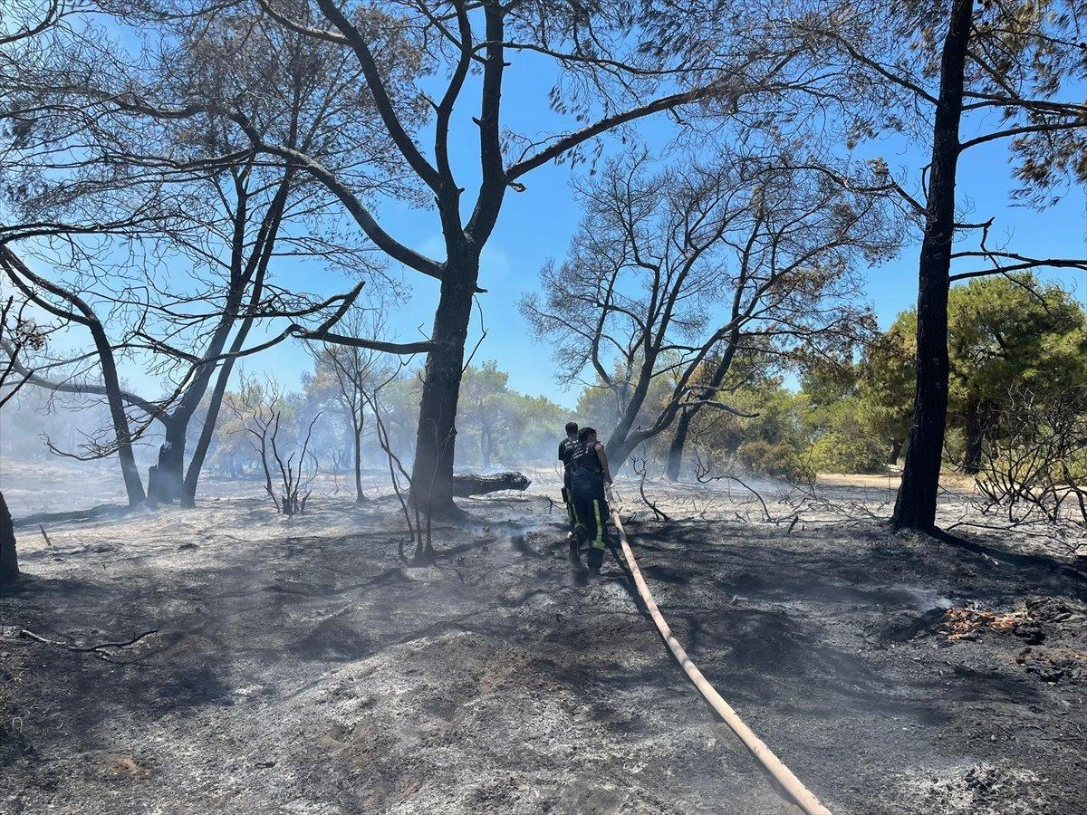 Antalya'daki orman yangını kontrol altında