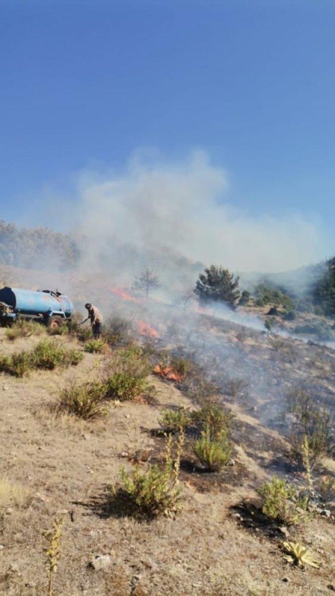 Manisa'da otluk alanda çıkan yangın ormana sıçradı