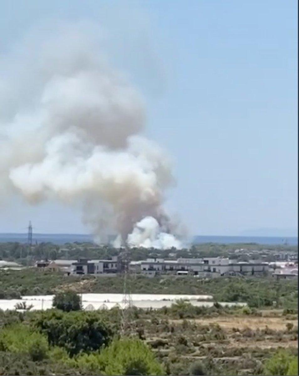 Antalya'daki orman yangını kontrol altında