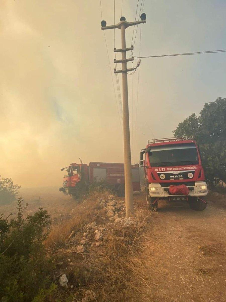 Milas’ta yangın kontrol altına alınırken 4 hektarlık alan kül oldu