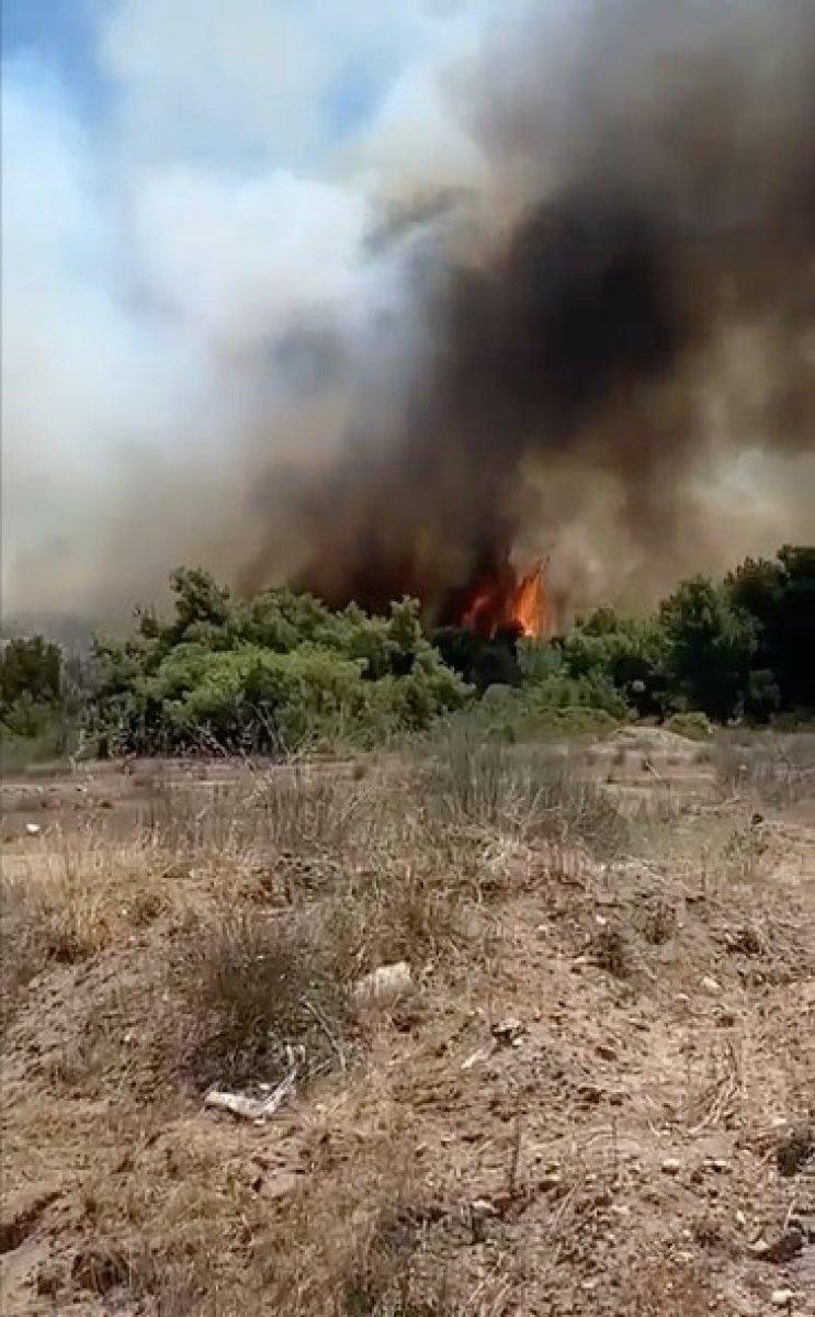 Antalya'daki orman yangını kontrol altında