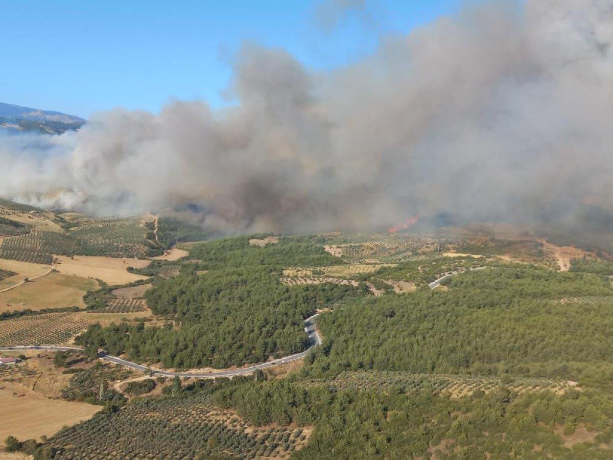 Manisa'da otluk alanda çıkan yangın ormana sıçradı