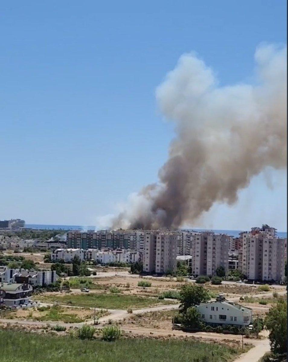 Antalya'daki orman yangını kontrol altında
