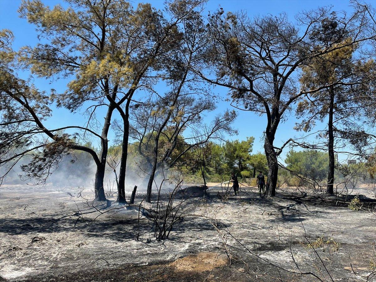 Antalya'daki orman yangını kontrol altında
