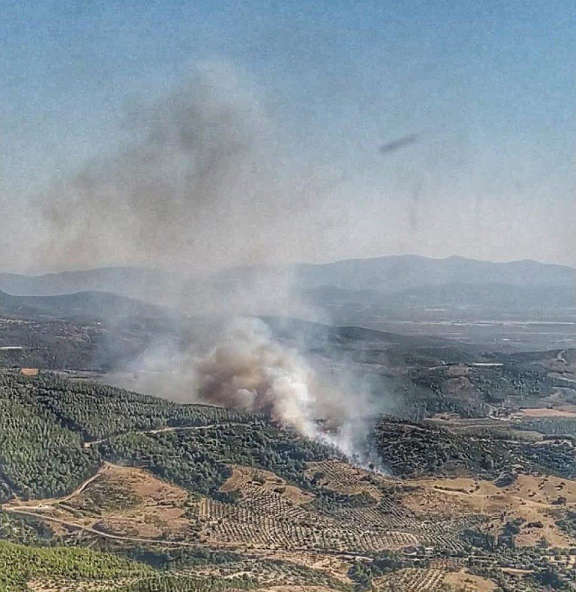 Manisa'da otluk alanda çıkan yangın ormana sıçradı