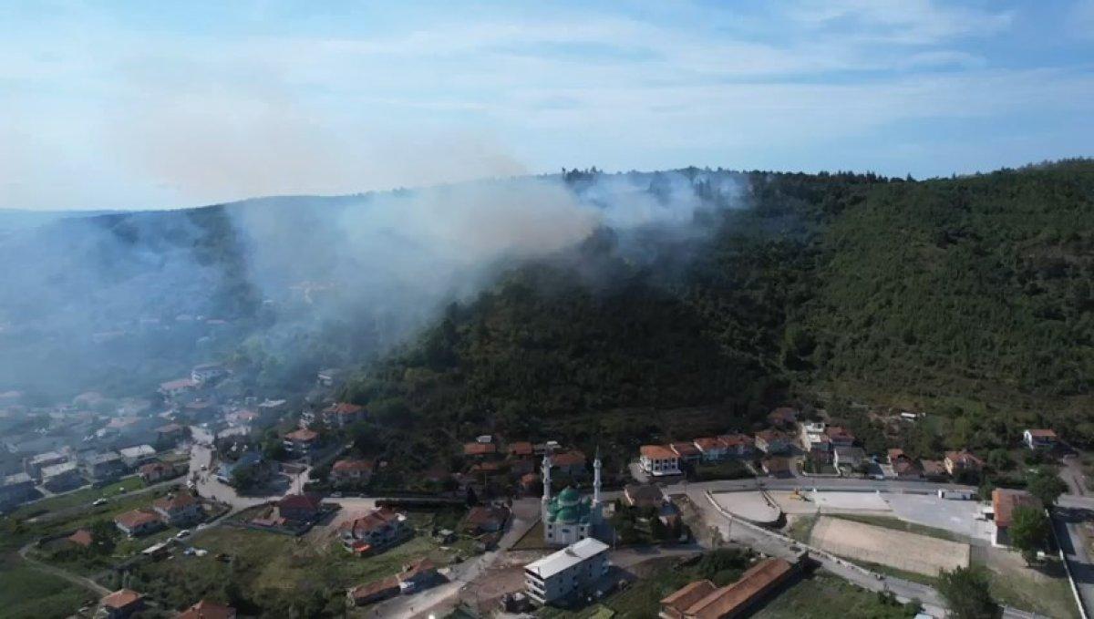 Sakarya'da ormanlık alanda yangın çıktı