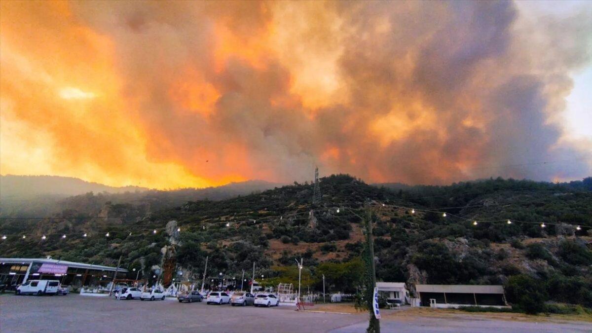 Aydın'ın Söke ilçesinde orman yangını