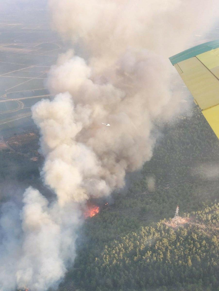 Aydın'ın Söke ilçesinde orman yangını