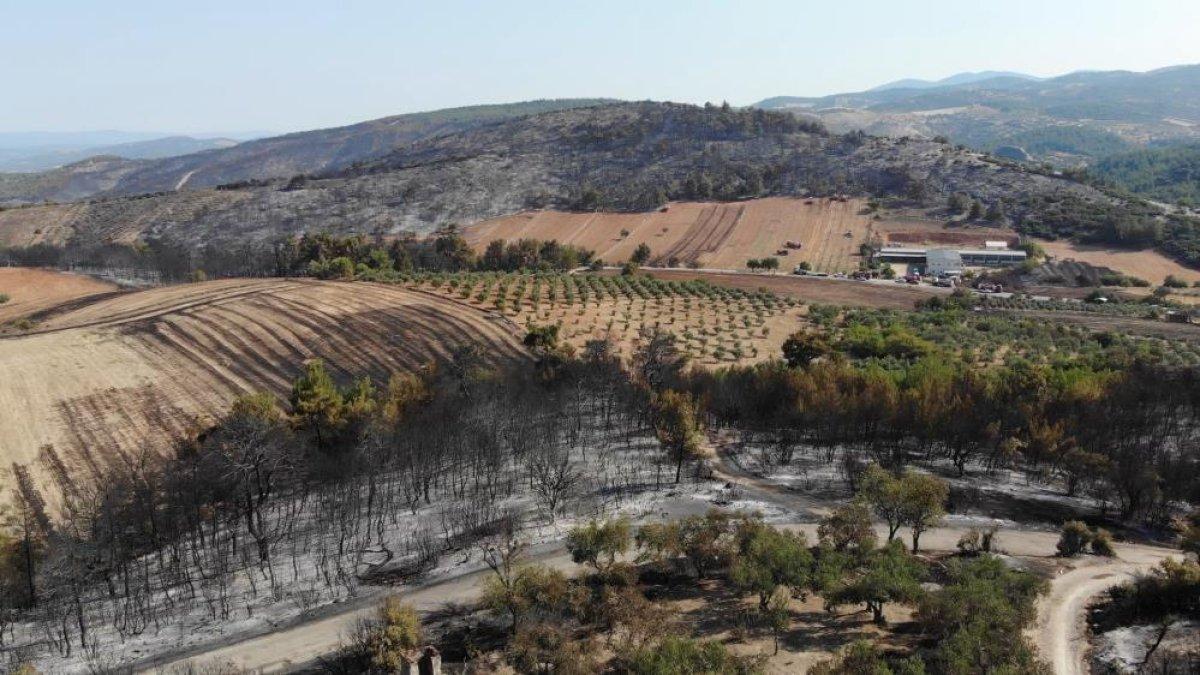 Manisa'daki orman yangını dehşetini gözyaşlarıyla anlattılar