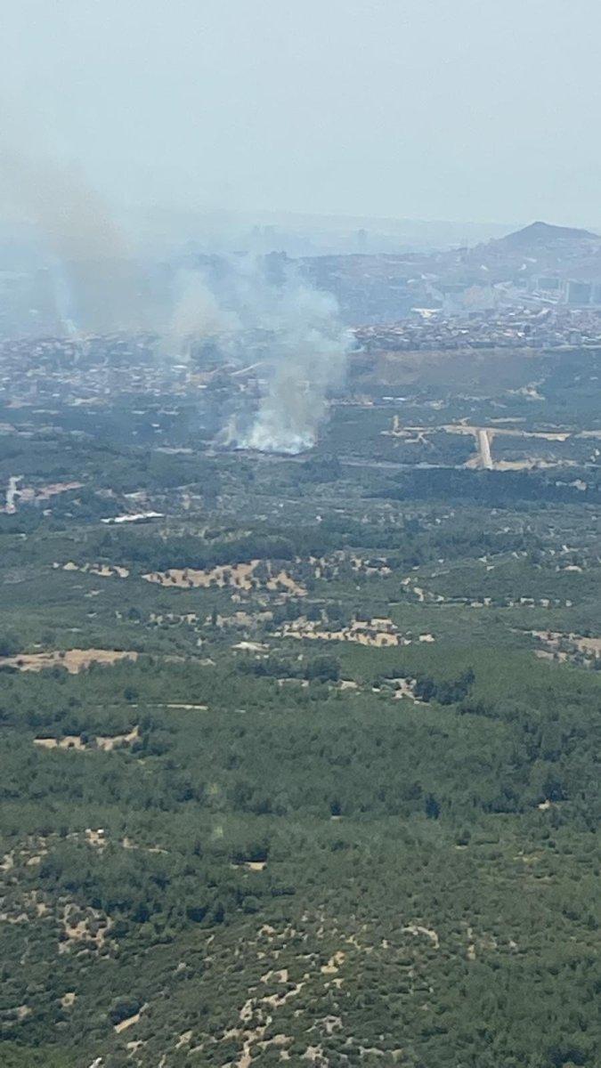 İzmir'de makilik alandaki yangına havadan ve karadan müdahale