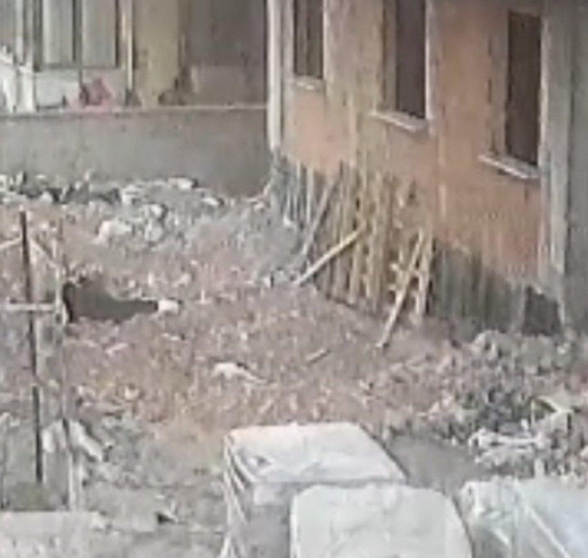 İstanbul'da geçen hafta kameraya yansıyan şaşırtan anlar