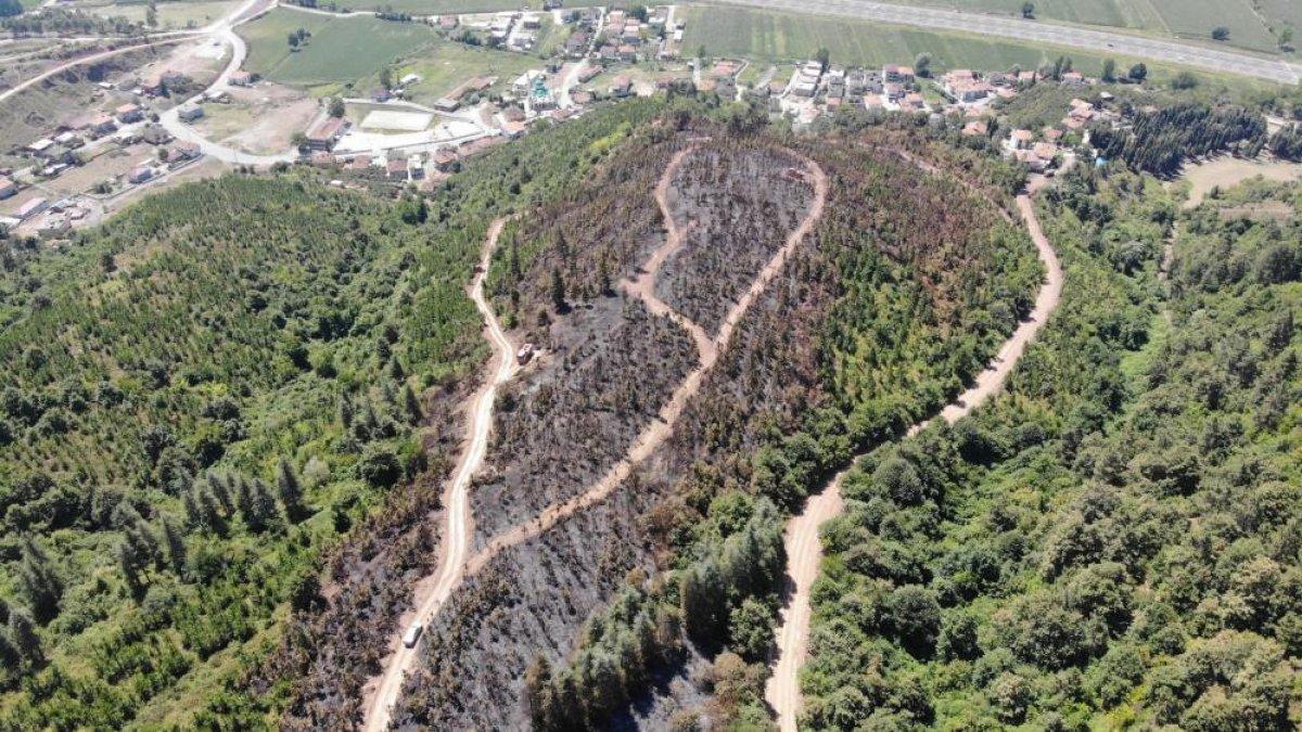 Sakarya'da çıkan orman yangınında 6 hektarlık alan zarar gördü