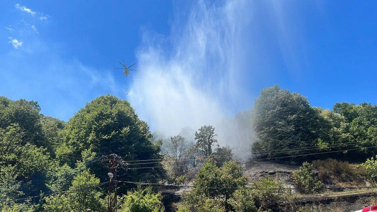 Beykoz'da ormanlık alanda yangın çıktı