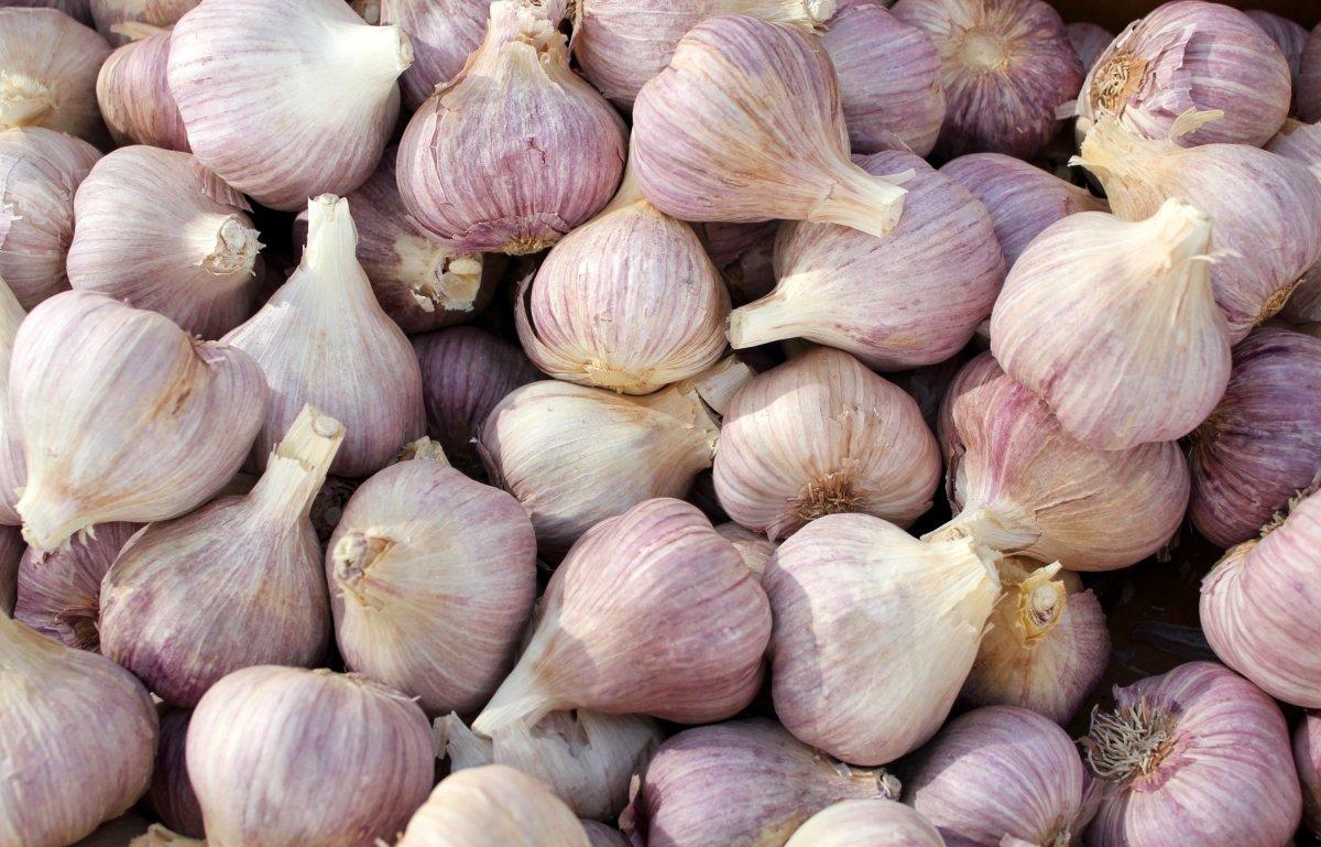 Her gün sarımsak yemek için 6 neden