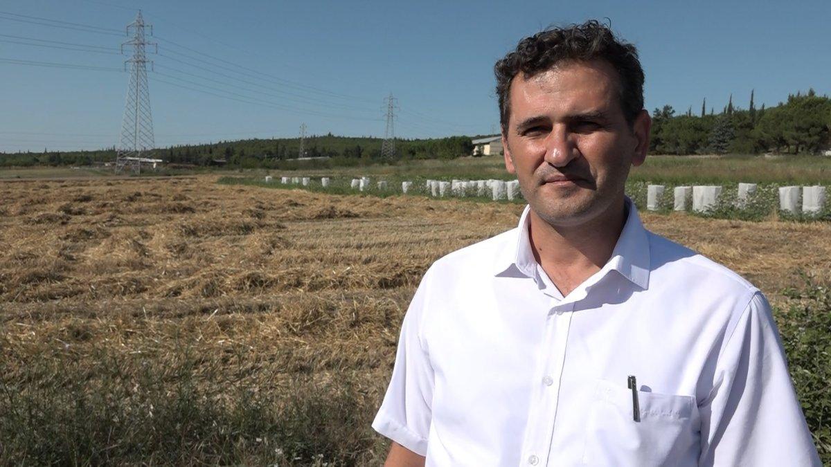 Uludağ Üniversitesi'nden 400 ton buğdayla ülke ekonomisine katkı