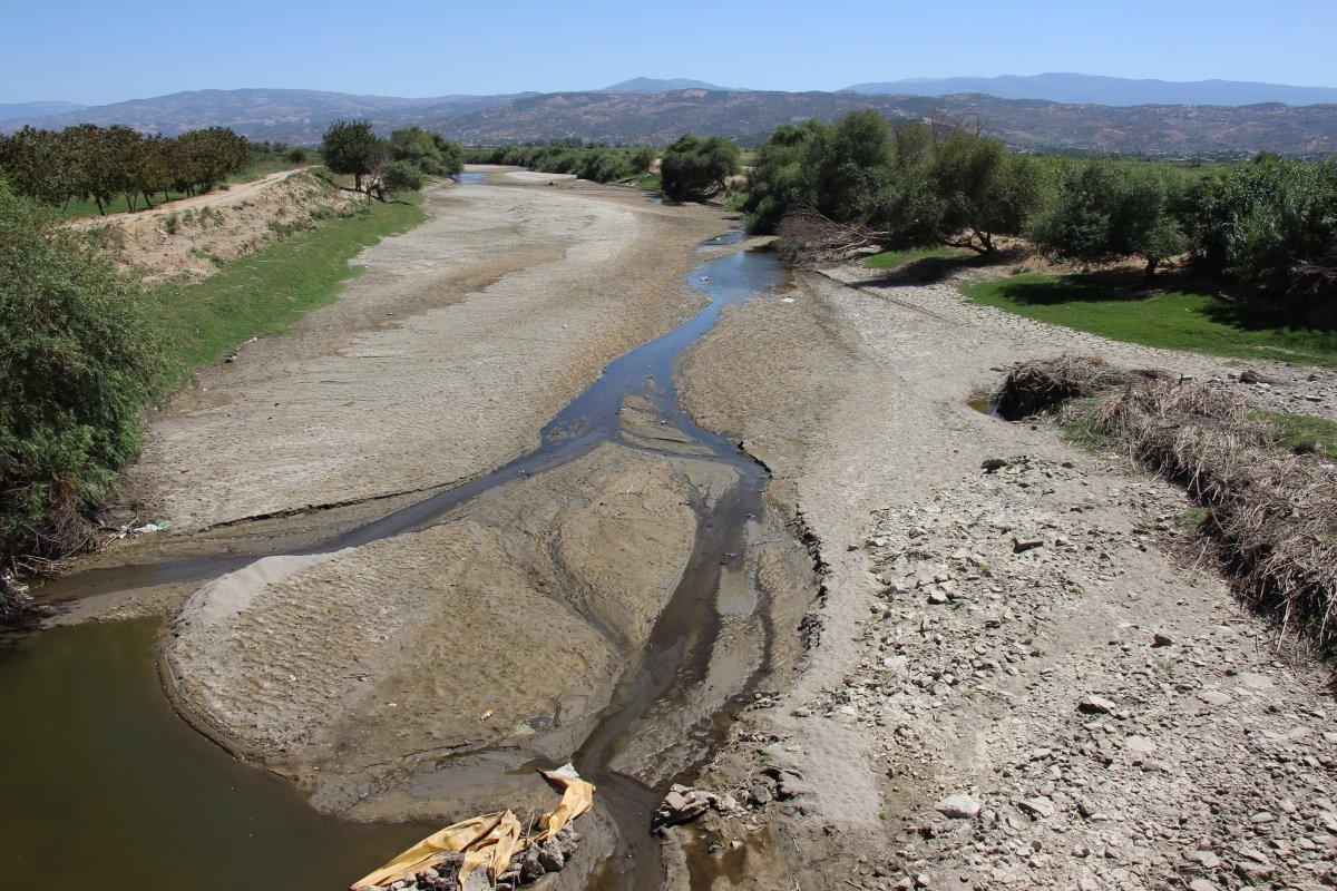 Aydın'da kuraklık nedeniyle su sıkıntısı çeken çiftçilerin bu sene yüzü gülüyor
