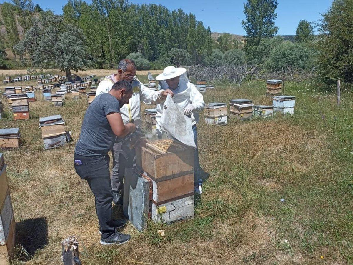 Binali Yıldırım, Erzincan'da sezonun ilk bal hasadına katıldı