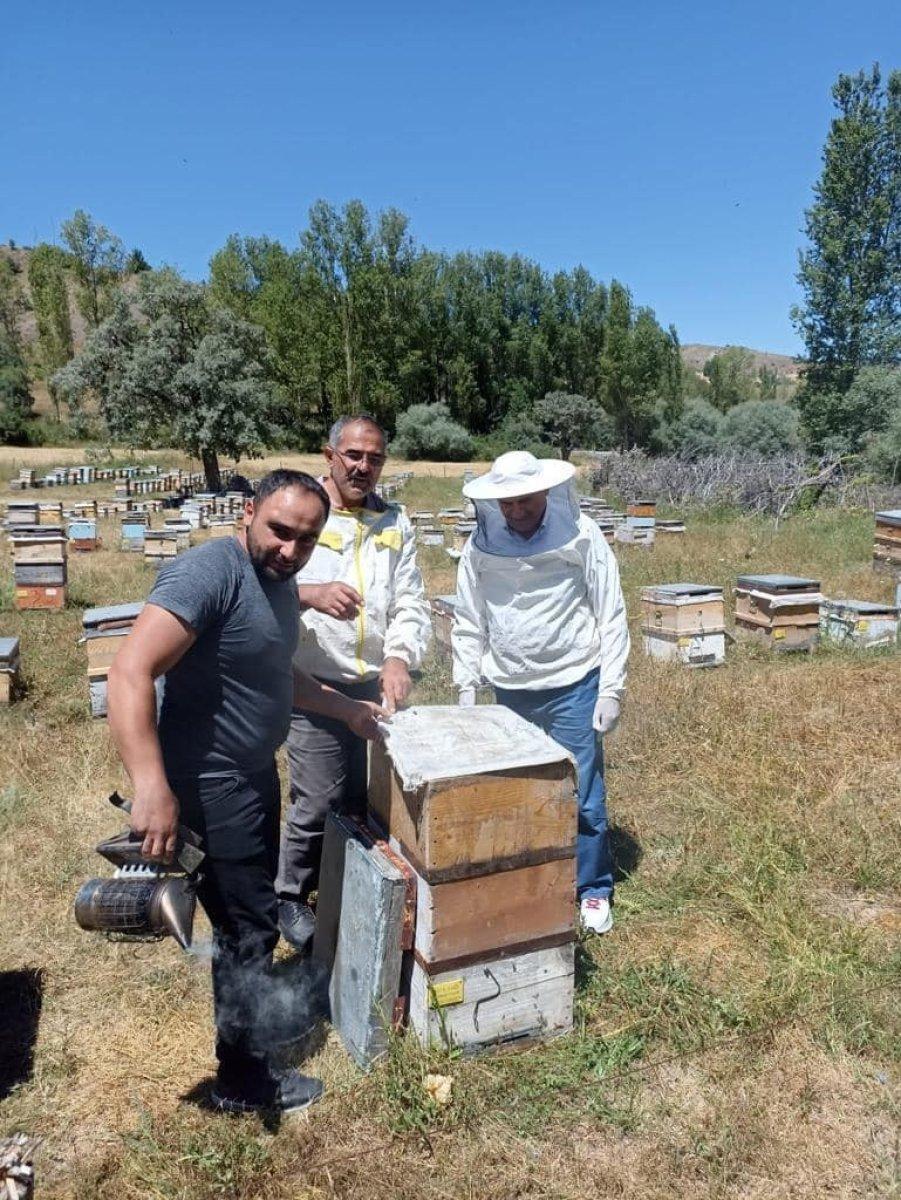Binali Yıldırım, Erzincan'da sezonun ilk bal hasadına katıldı
