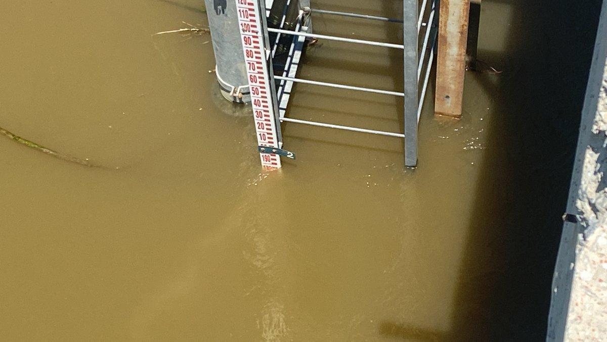 Aydın'da kuraklık nedeniyle su sıkıntısı çeken çiftçilerin bu sene yüzü gülüyor