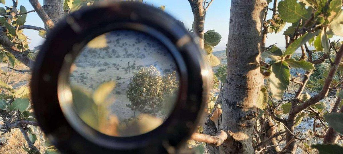 Mardin'de 'Eren Abluka-26 Operasyonu' başlatıldı