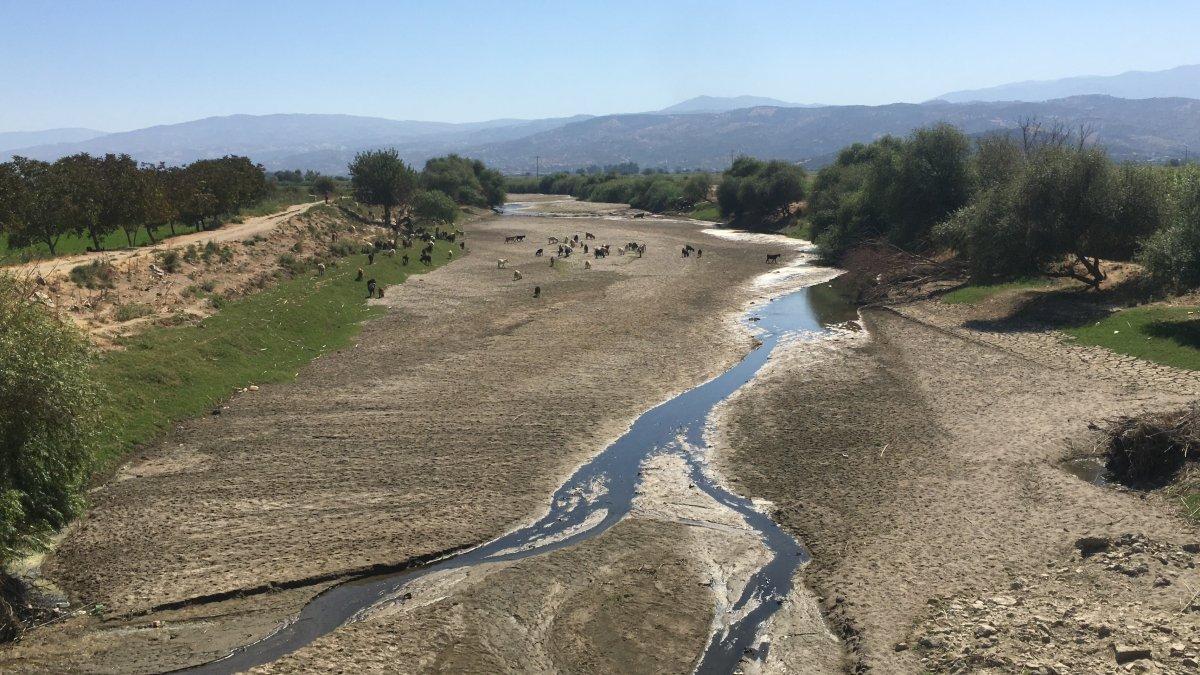 Aydın'da kuraklık nedeniyle su sıkıntısı çeken çiftçilerin bu sene yüzü gülüyor