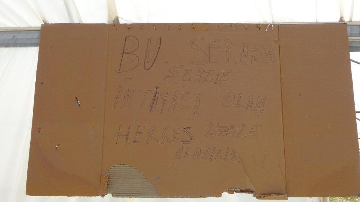 Hakkari'de 10 yıldır ürettiği sebzeleri ihtiyaç sahiplerine dağıtıyor