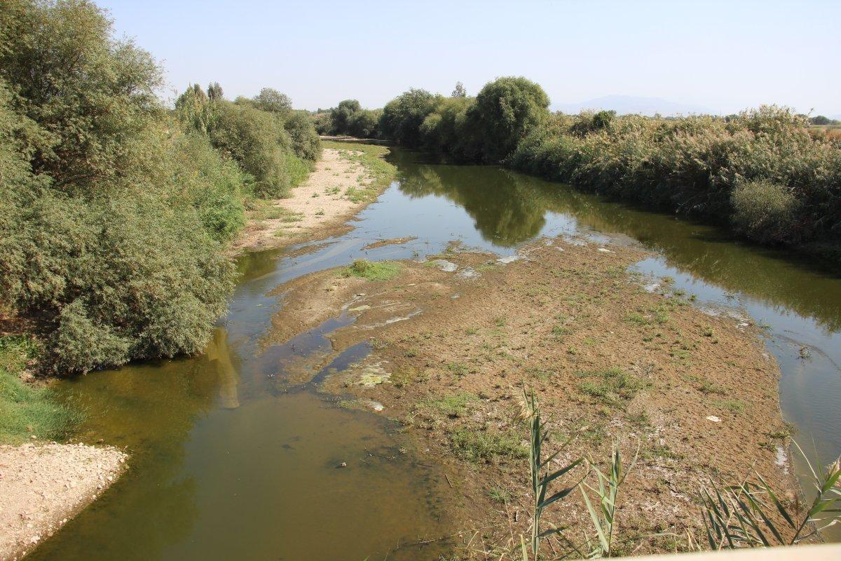 Aydın'da kuraklık nedeniyle su sıkıntısı çeken çiftçilerin bu sene yüzü gülüyor