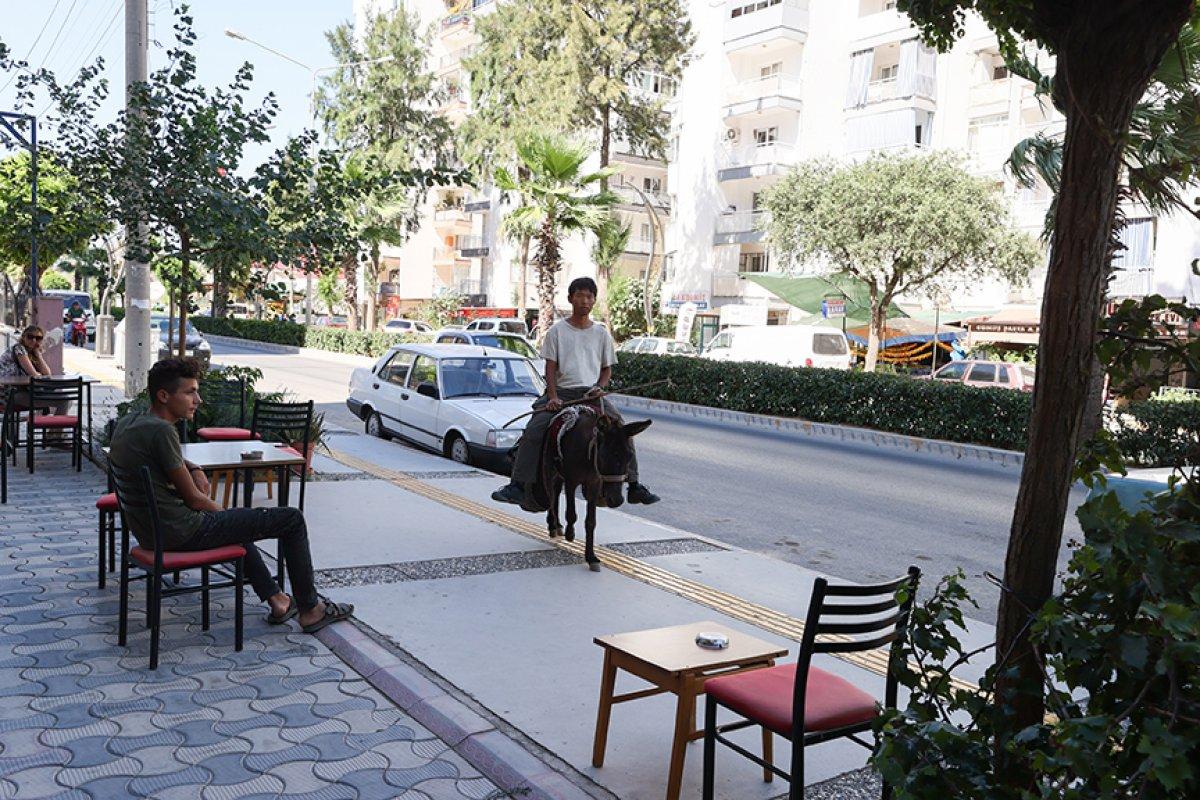 Japon turist eşekle adım adım Türkiye'yi gezdi