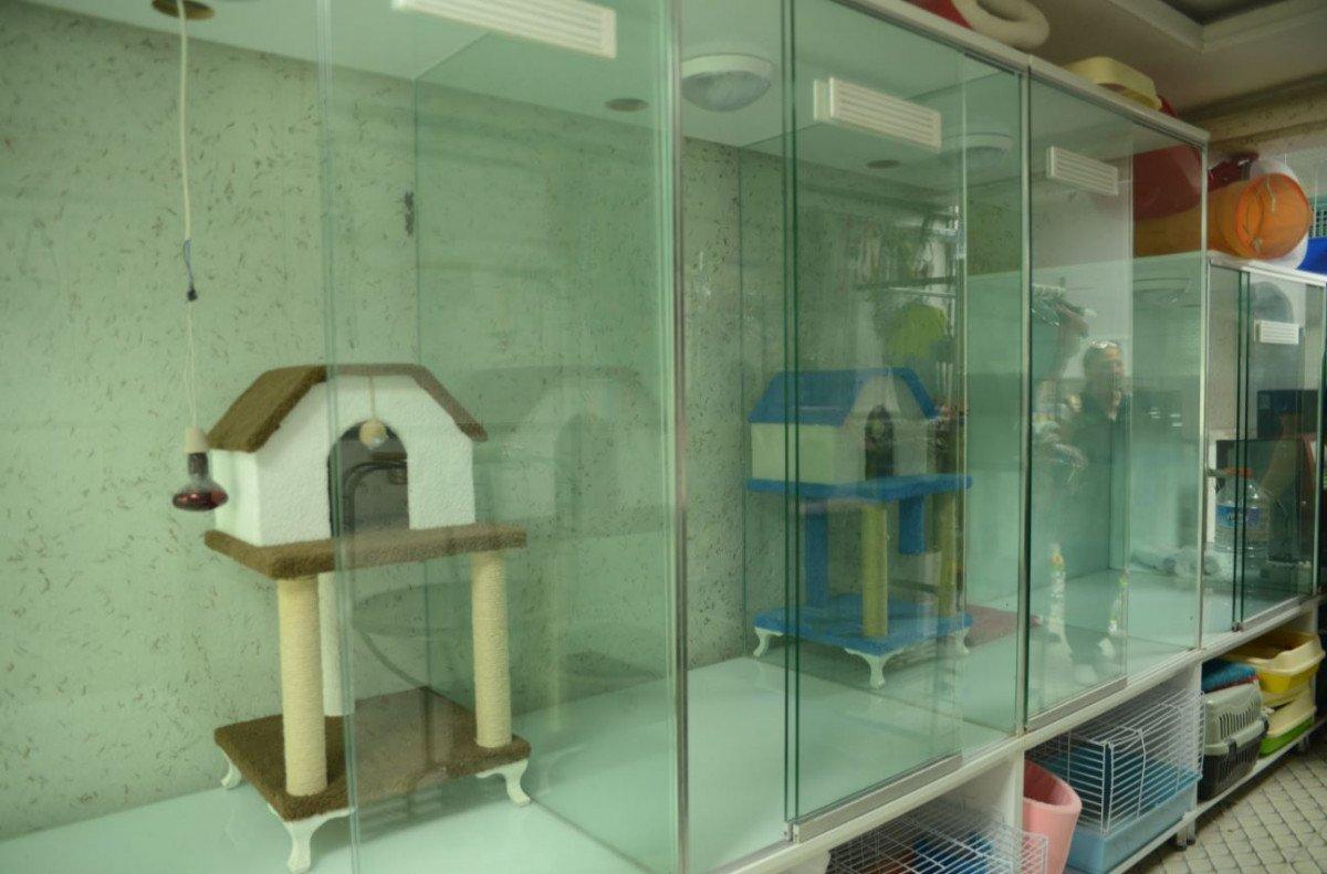 Ankara’da petshop denetiminde, merdiven altı üretime suçüstü yapıldı