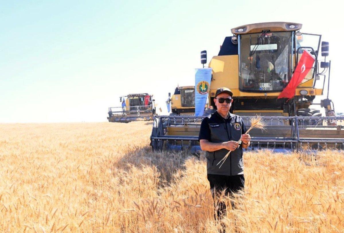 Buğday tohum fiyatları belli oldu