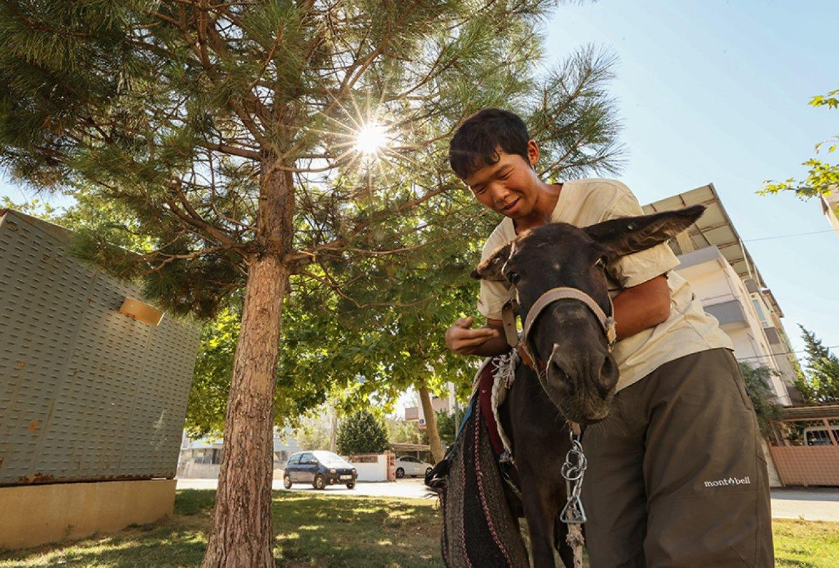 Japon turist eşekle adım adım Türkiye'yi gezdi