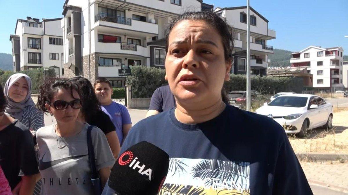 Bursa'da köpeği ezdi, yoluna devam etti