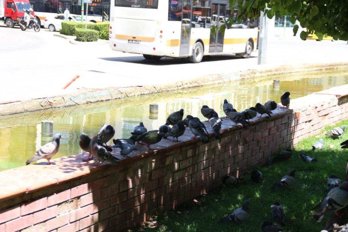 Eskişehir'de termometreler 30 derecenin üzerine çıktı