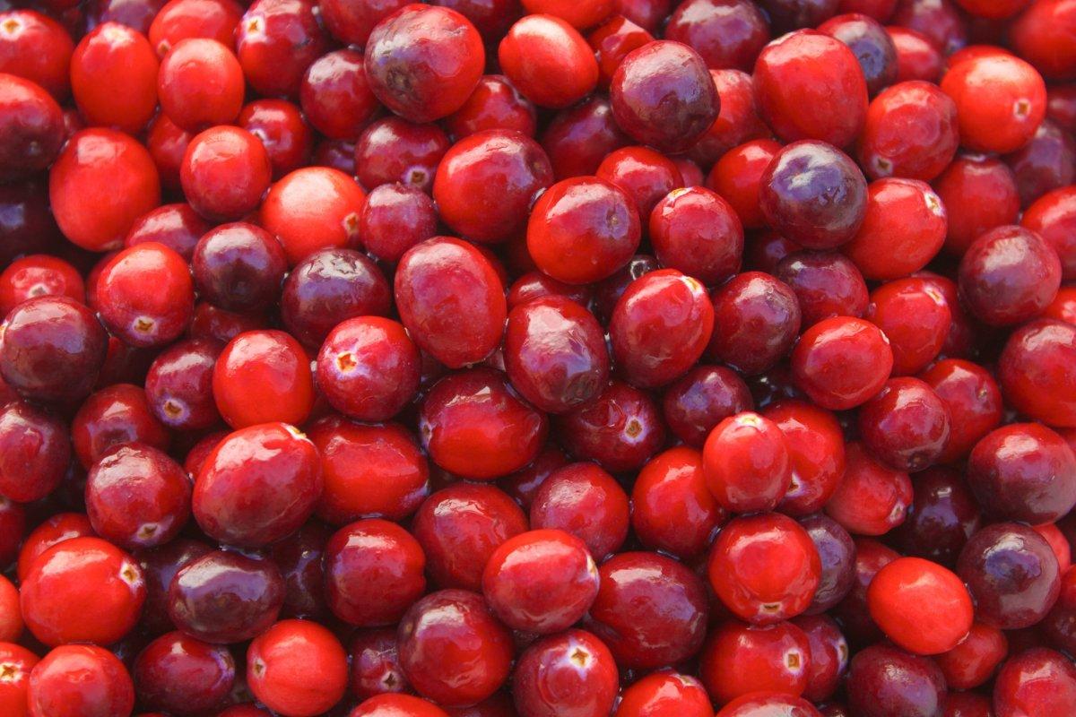 Konsantrasyonu artıran 10 yiyecek