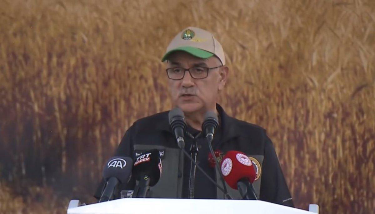 Buğday tohum fiyatları belli oldu