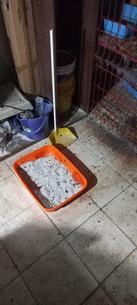 Ankara’da petshop denetiminde, merdiven altı üretime suçüstü yapıldı