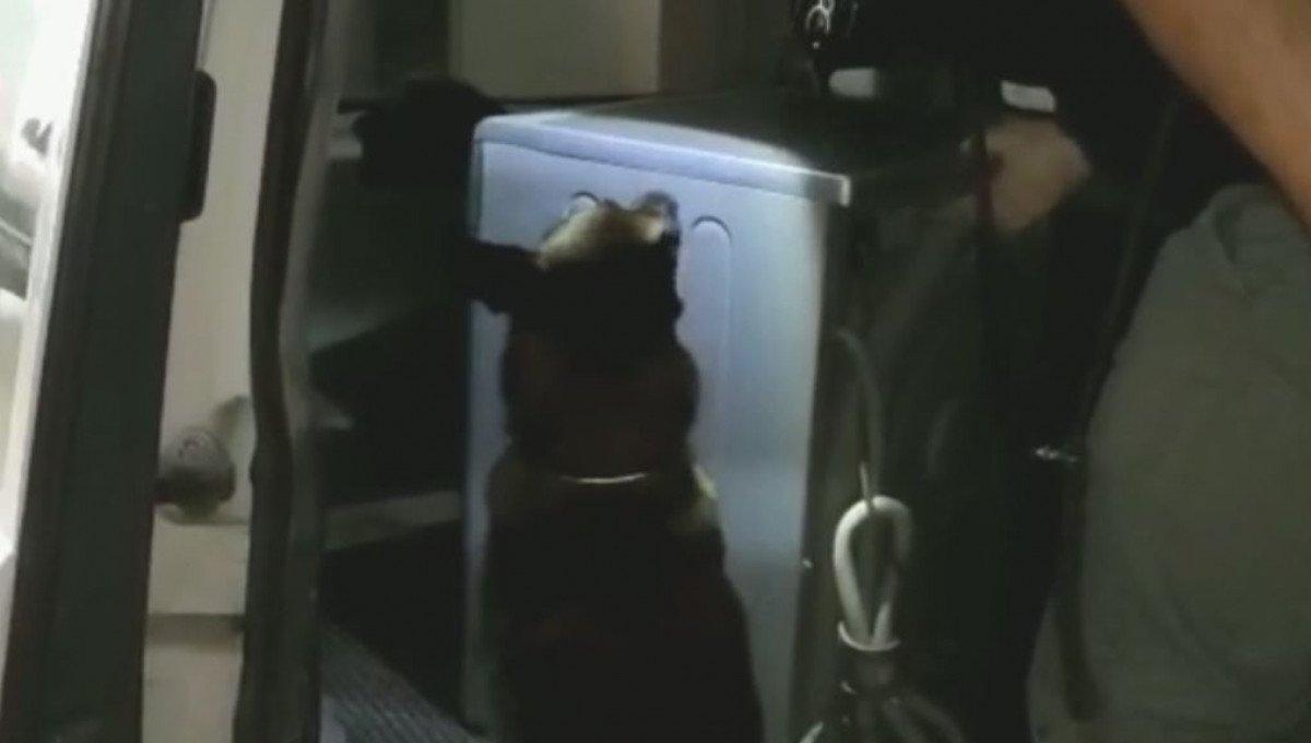 Trabzon’da çamaşır makinesinden 1 milyon liralık uyuşturucu çıktı