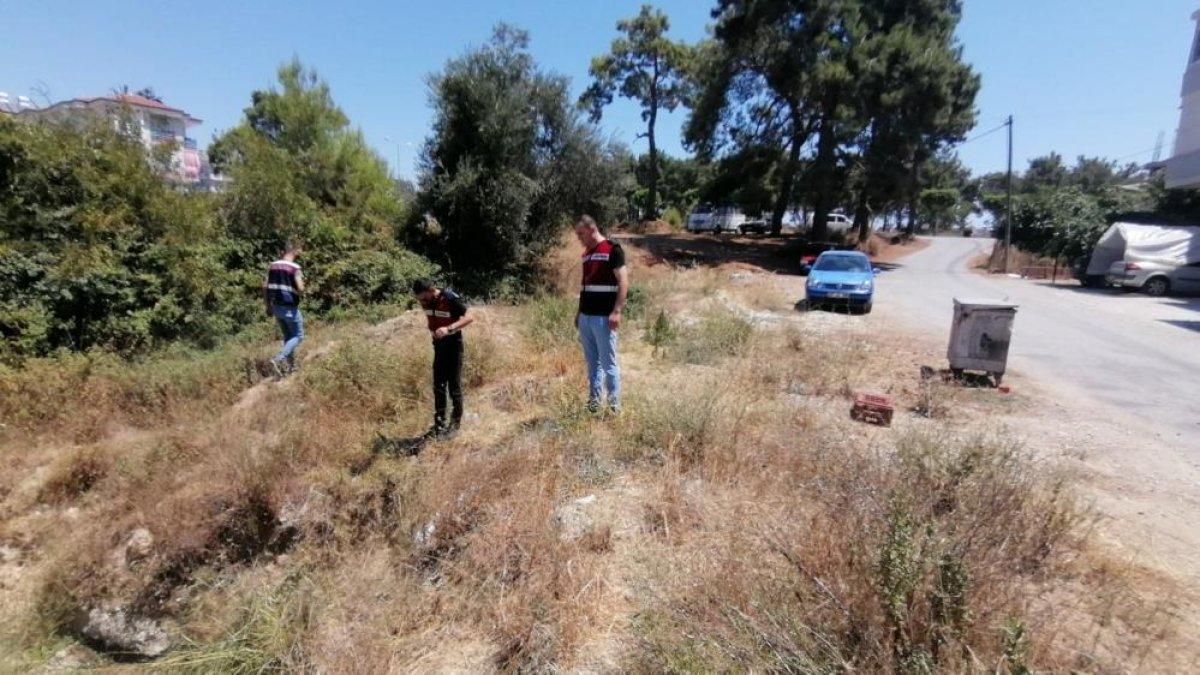 Antalya'da kaza süsü verilen cinayeti jandarma çözdü