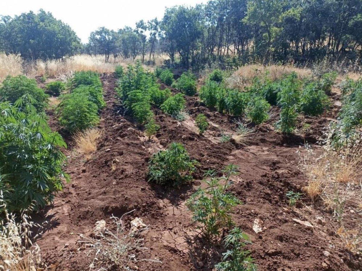 Diyarbakır''da ‘Eren Abluka-28 operasyonu başlatıldı