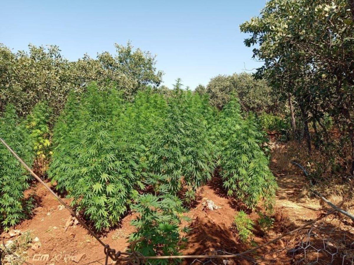 Diyarbakır''da ‘Eren Abluka-28 operasyonu başlatıldı