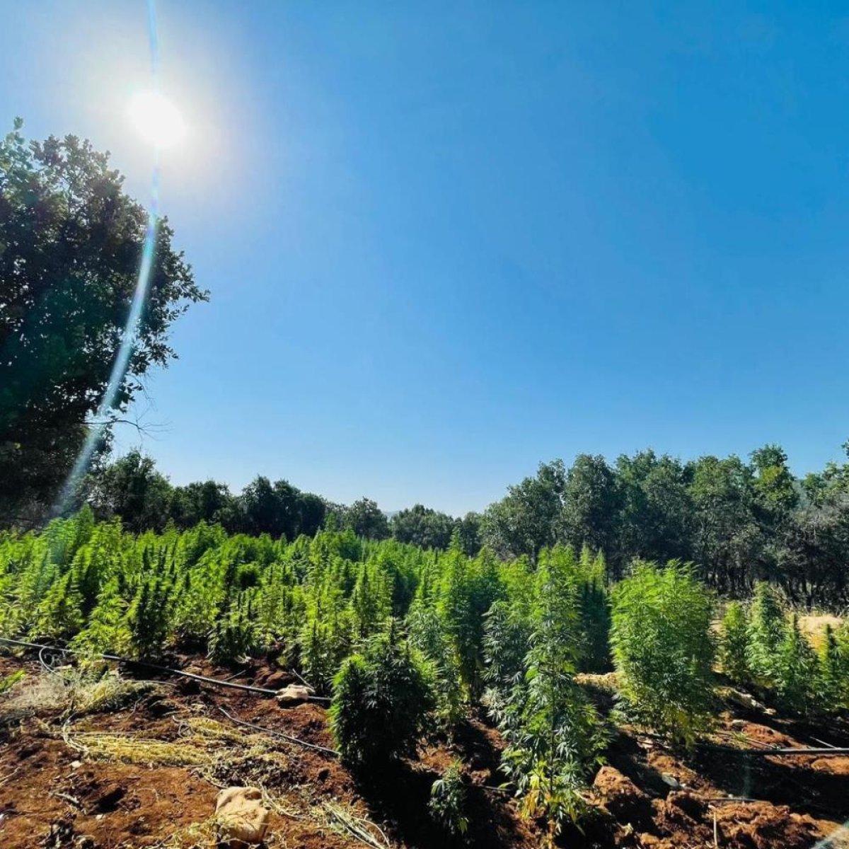 Diyarbakır''da ‘Eren Abluka-28 operasyonu başlatıldı