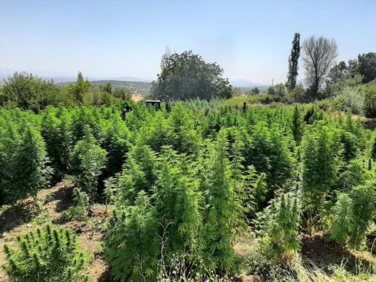 Diyarbakır''da ‘Eren Abluka-28 operasyonu başlatıldı