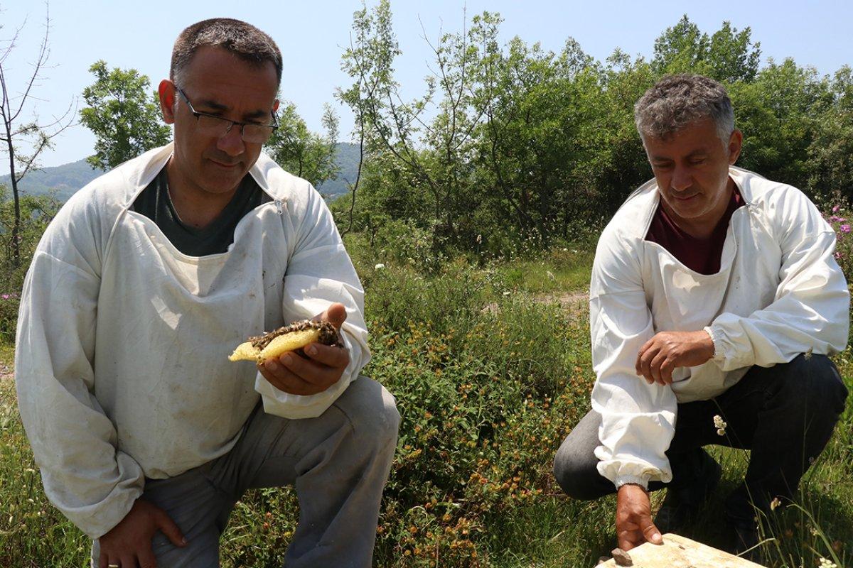 Yalova'da başlayan bal yolculuğu Tekirdağ'da tamamlandı