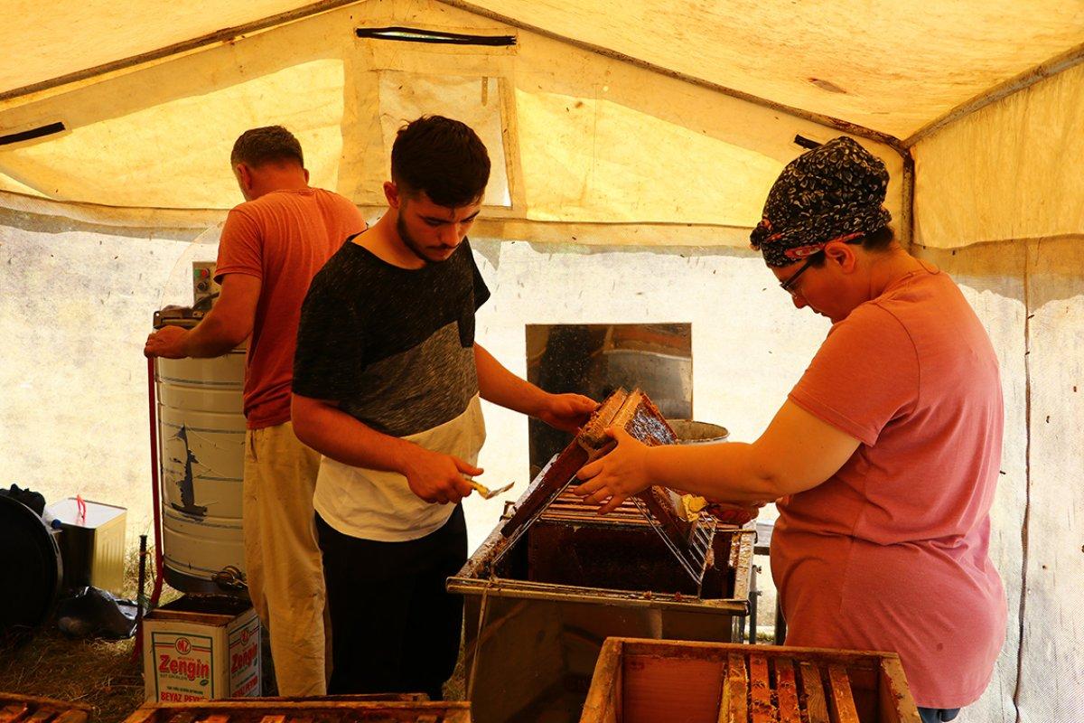 Yalova'da başlayan bal yolculuğu Tekirdağ'da tamamlandı