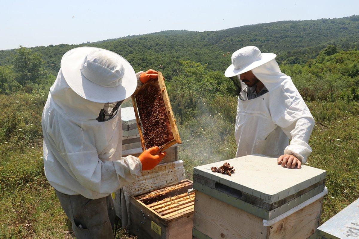 Yalova'da başlayan bal yolculuğu Tekirdağ'da tamamlandı