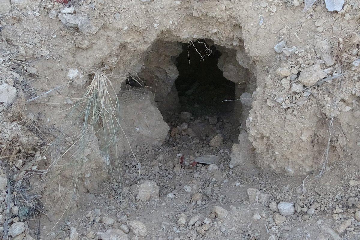 Malatya'da tarihi höyük, definecilerin kurbanı oldu