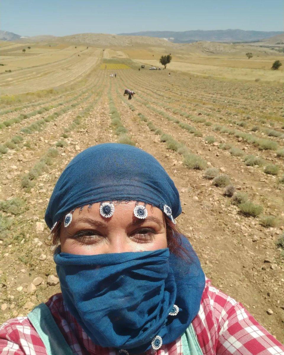 ABD’deki işini bıraktı, dedesinden kalma topraklarda tarıma başladı